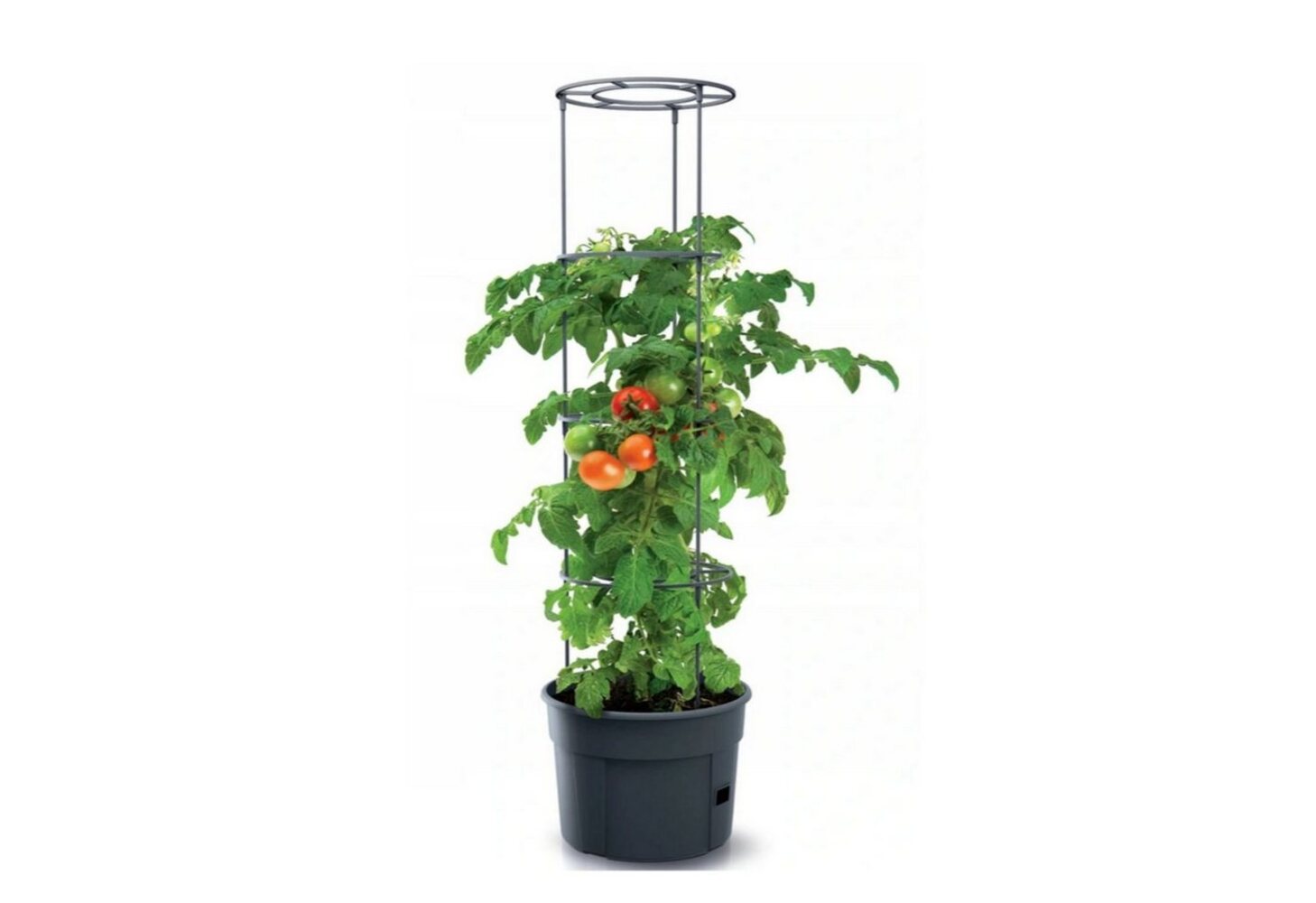 Prosperplast Pflanzkübel IPOM300-S433, Topf für Tomatenpflanze 12L Tomatenzüchter Bild 1