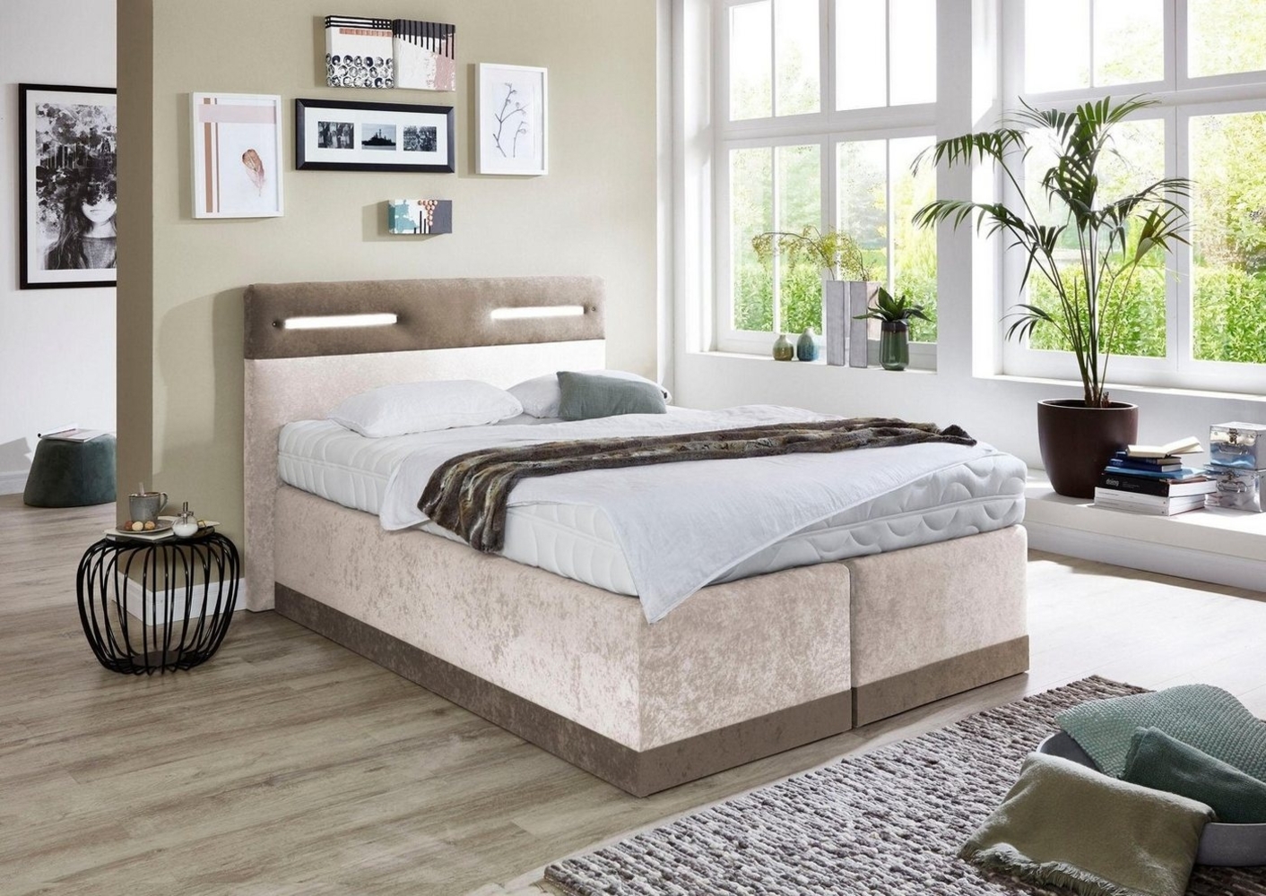Westfalia Schlafkomfort Boxspringbett, mit LED-Beleuchtung Bild 1