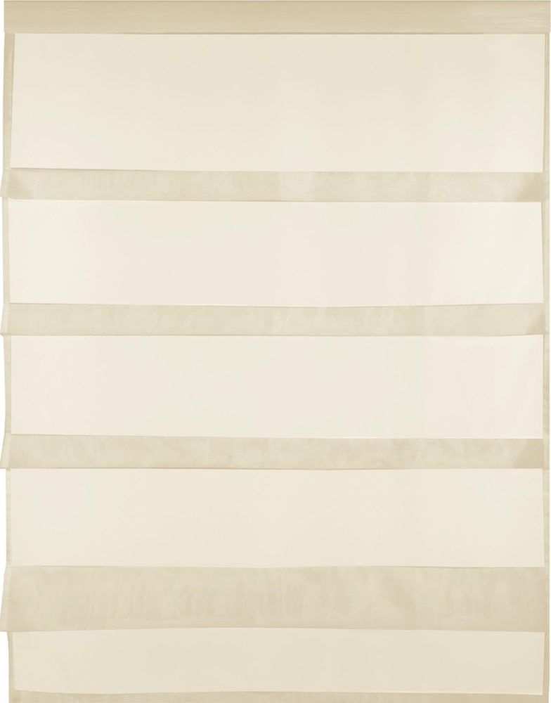 Transparente Bistrogardine Raffoptik mit Stangendurchzug in Voile, schlicht und modern in vielen verschiedenen Farben erhältlich (80x110 cm / beige - nude) Bild 1