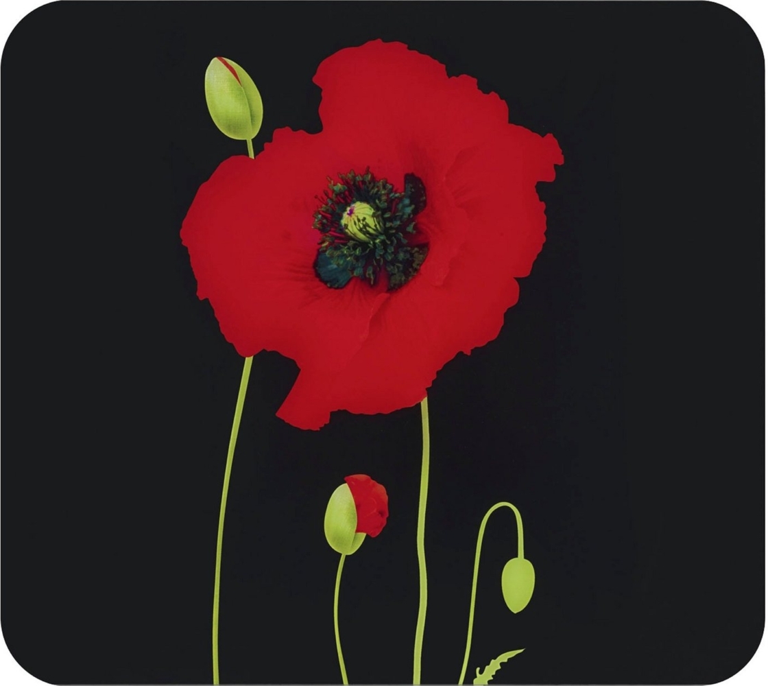 Maximex Herd-Abdeckplatte Mohn, Glas, Spritzschutz, Herdblende und Schneidbrett, 56x50 cm Bild 1