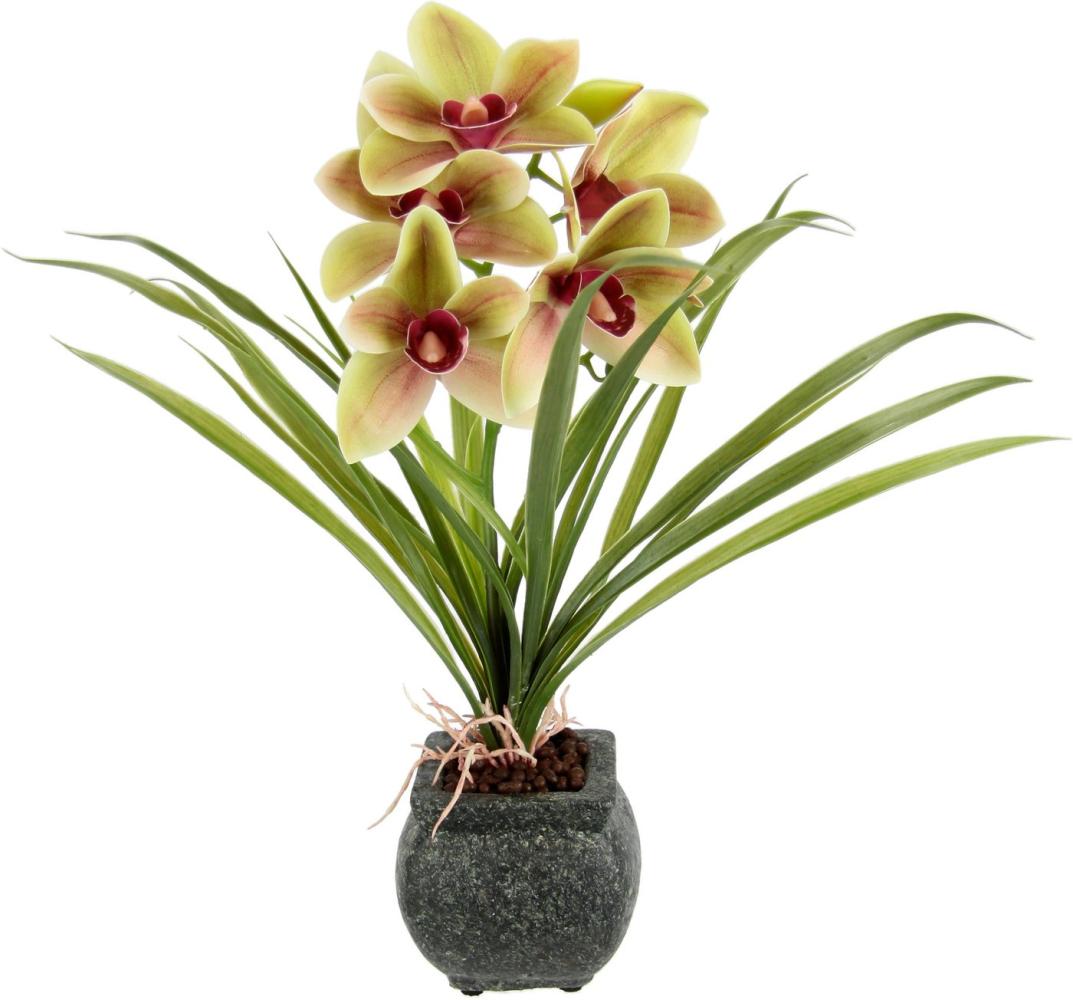 Kunstblume Orchidee, my home, Höhe 40 cm, Mit Blätter im Topf aus Zement Künstliche Blume Cymbidium-Orchidee Bild 1