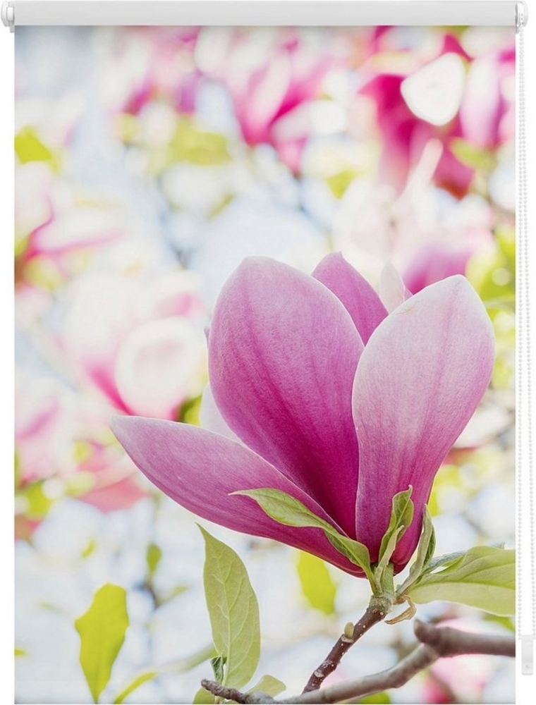 Lichtblick Motiv Rollo 150x120 cm (LxB) Magnolie Bild 1