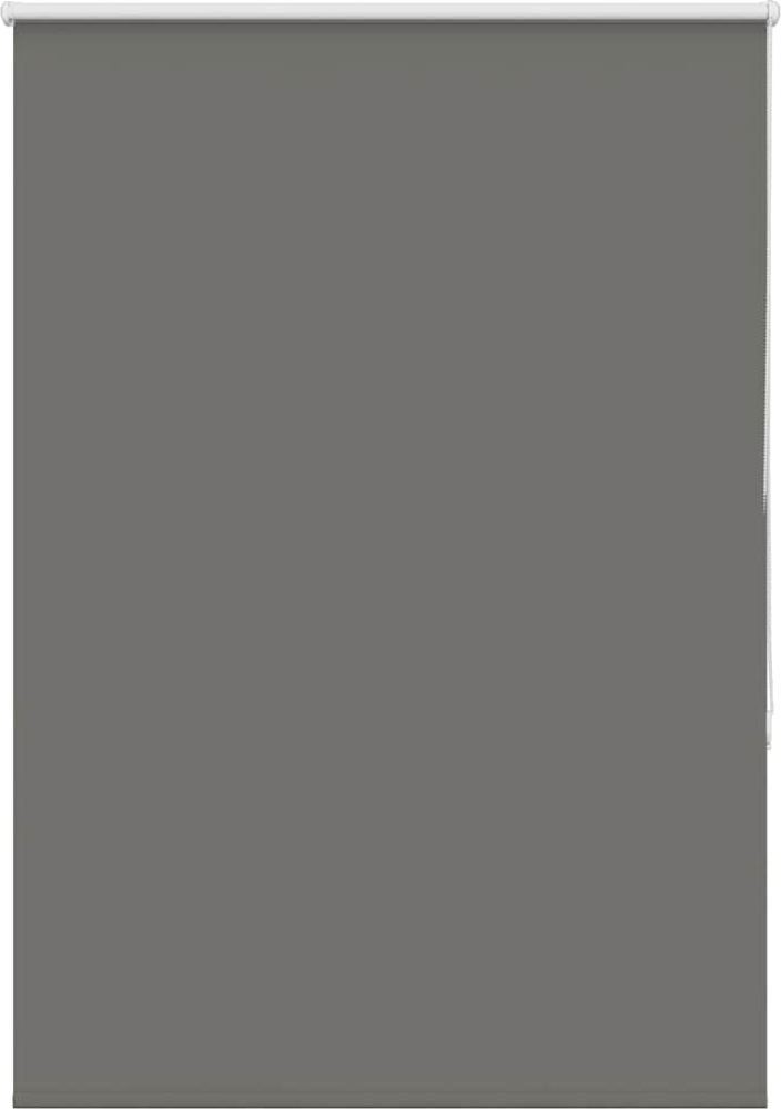 vidaXL Verdunkelungsrollo Grau 105x130cm Stoffbreite 100,7cm Polyester 4011103 Bild 1