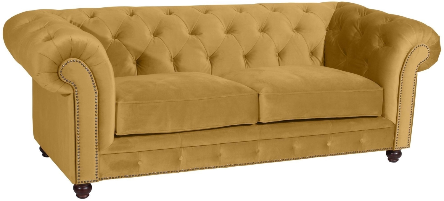 Sofa 2,5-Sitzer Kathe Bezug Samtvelours Buche nussbaum dunkel / mais 22508 Bild 1