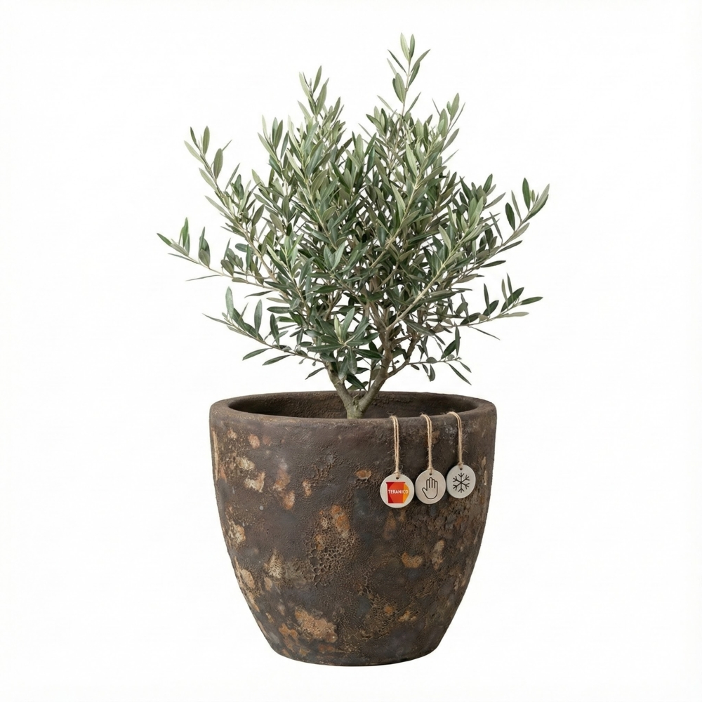 Keramik Blumentopf Eggpot Lava Braun Ø 21cm Struktur Übertopf geschliffen Unikat Bild 1