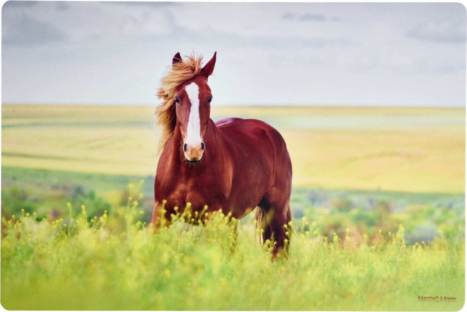 Tischset 45x30cm Flip Pferd Bild 1