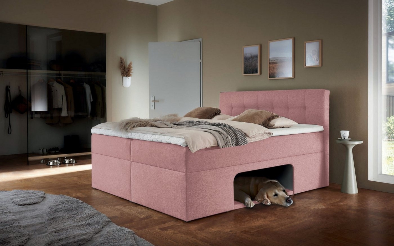 Places of Style Boxbett Carolin, mit Nische inkl. gepolsterter Unterlage für Haustiere Bild 1