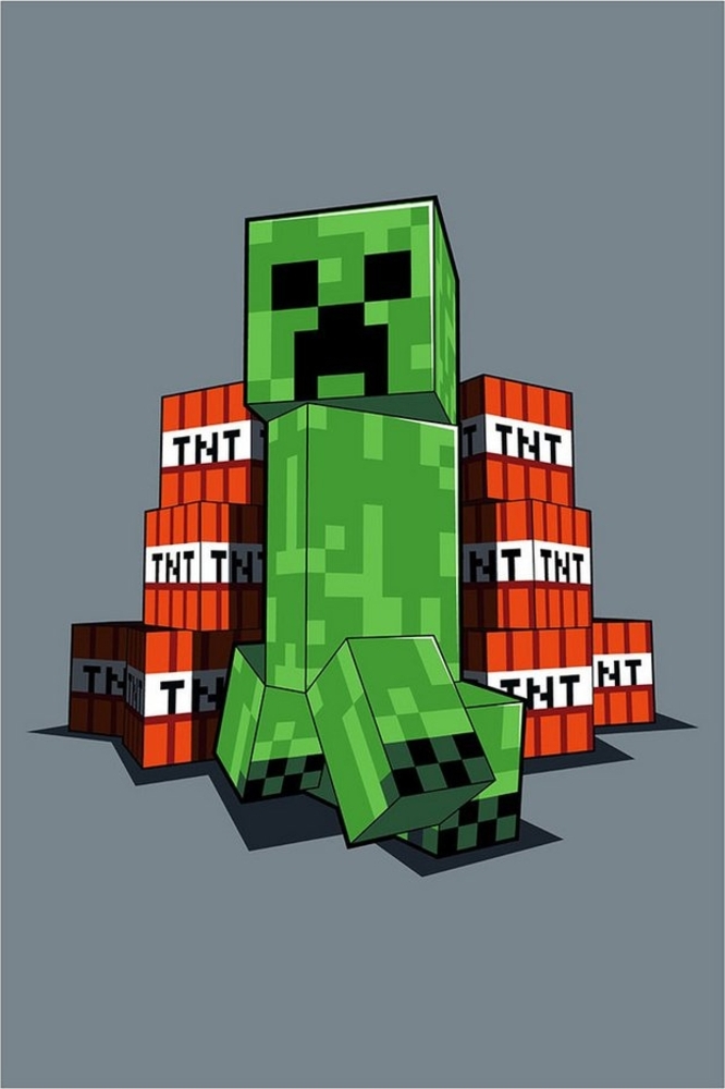 Minecraft \" TNT \" Fleecedecke Kuscheldecke 100x150 cm Bild 1