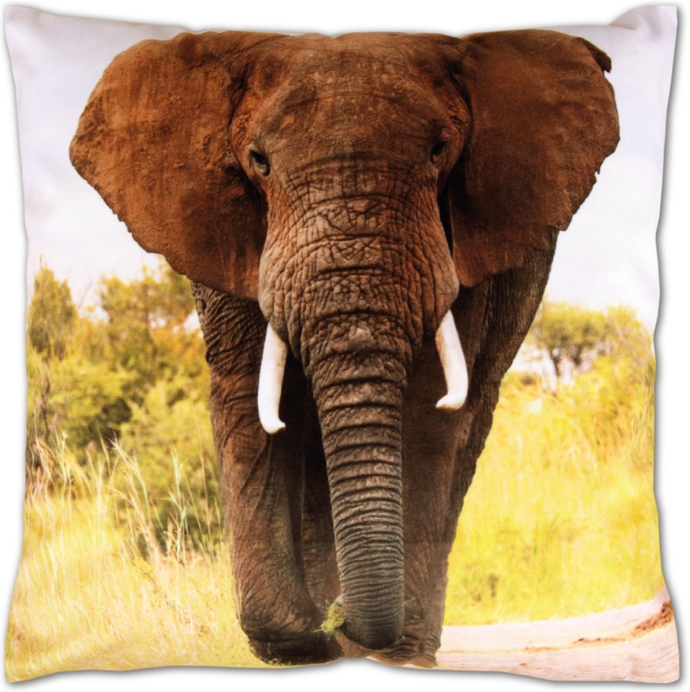 Bestlivings Dekokissen mit Fotodruck ca. 40x40 cm, Beidseitig bedruckt, in vielen Motiven verfügbar ( Design: ELEFANT / ELEFANT ) Bild 1