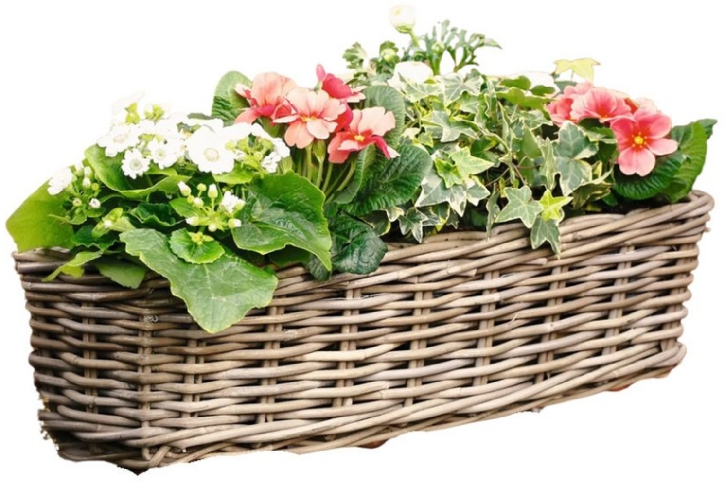 Home-trends24. de Balkonkasten Rattan Blumenkasten Blumenkästen Blumentopf mit Metallbügel 58 cm Bild 1