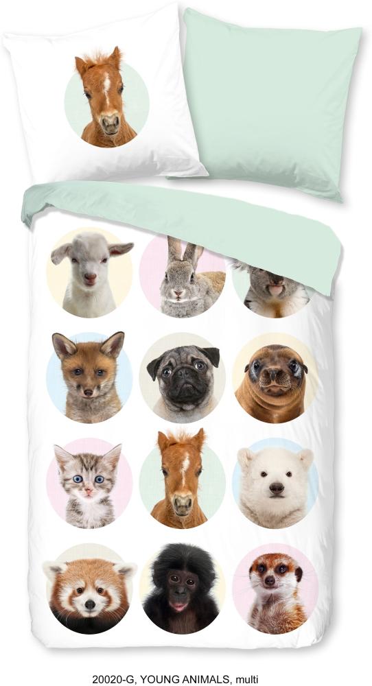 Good Morning Kinder Bettwäsche 135x200 Young Animals Tiere Hund 20020 Bild 1