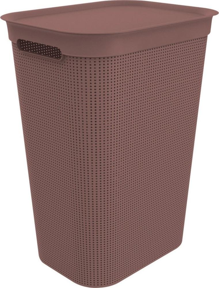 Rotho Wäschesammler Brisen, 50 l iron rot Bild 1