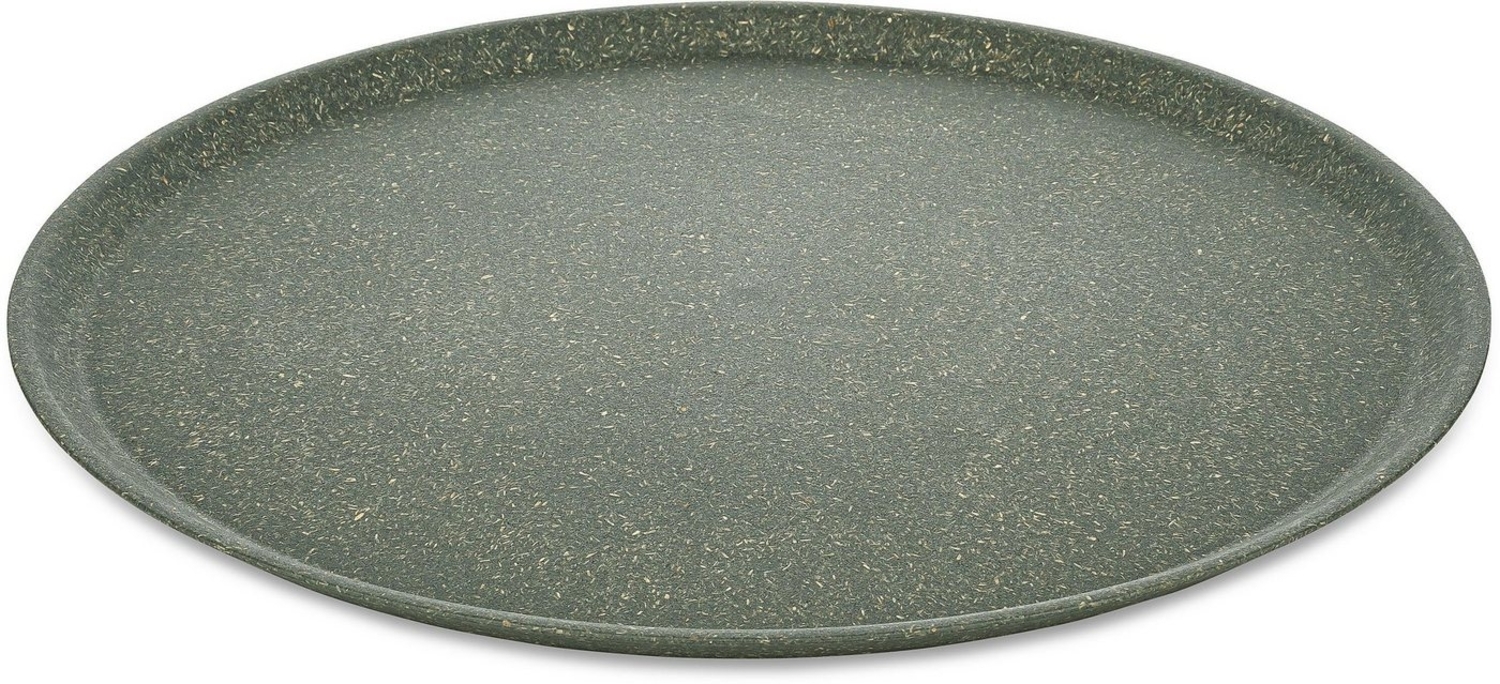 Koziol Großer Teller 4er-Set Connect Plate, Speiseteller, Kunststoff-Holz-Mix, Nature Ash Grey, 25. 5 cm, 7101701 Bild 1