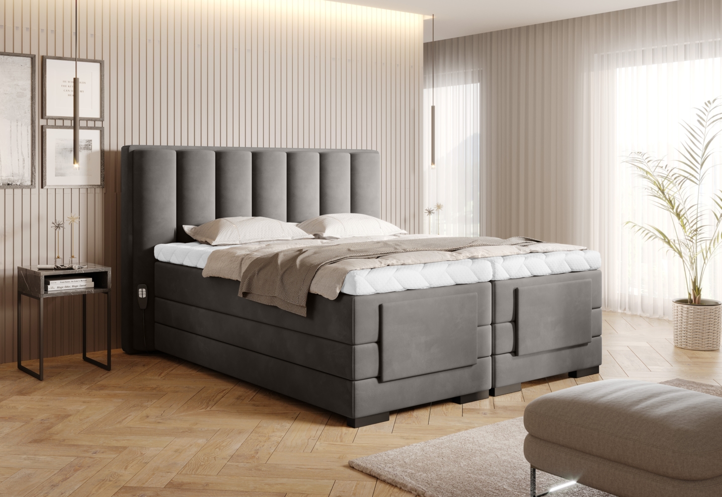 Veros 180x200, Boxspring Bett, Grau Bild 1