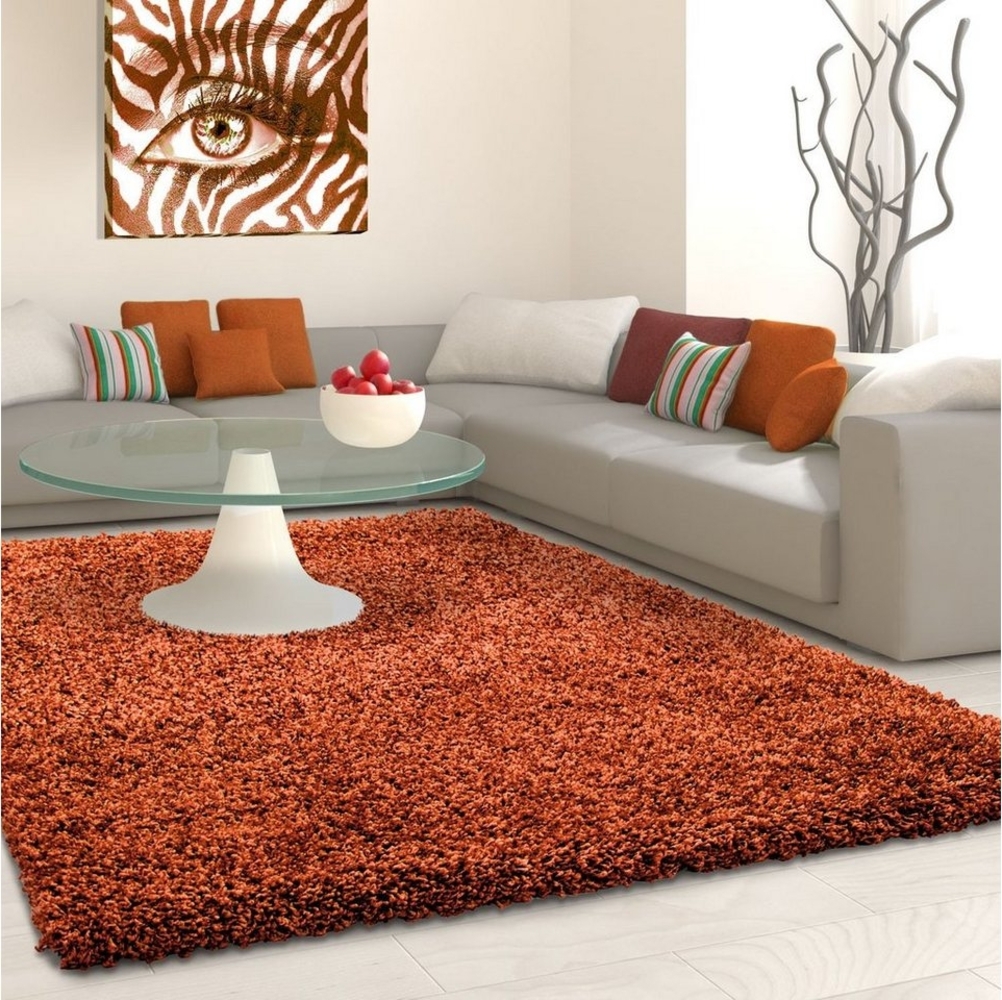 Shaggy Teppich LIFE TERRA 200 X 290cm Rechteck Bild 1