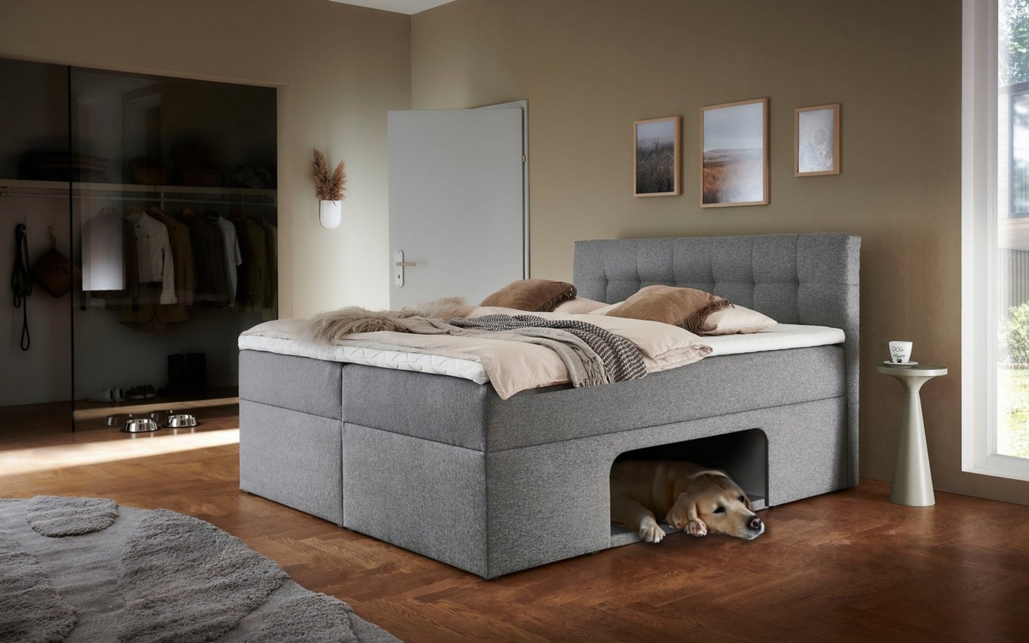 Places of Style Boxbett Carolin, mit Nische inkl. gepolsterter Unterlage für Haustiere Bild 1