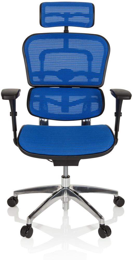 hjh OFFICE Luxus Chefsessel ERGOHUMAN EDITION Netzstoff Blau Bild 1