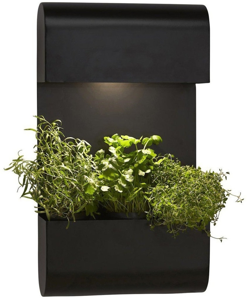 PR Home 1274003 Planta Wandaussenleuchte schwarz 70cm Bild 1