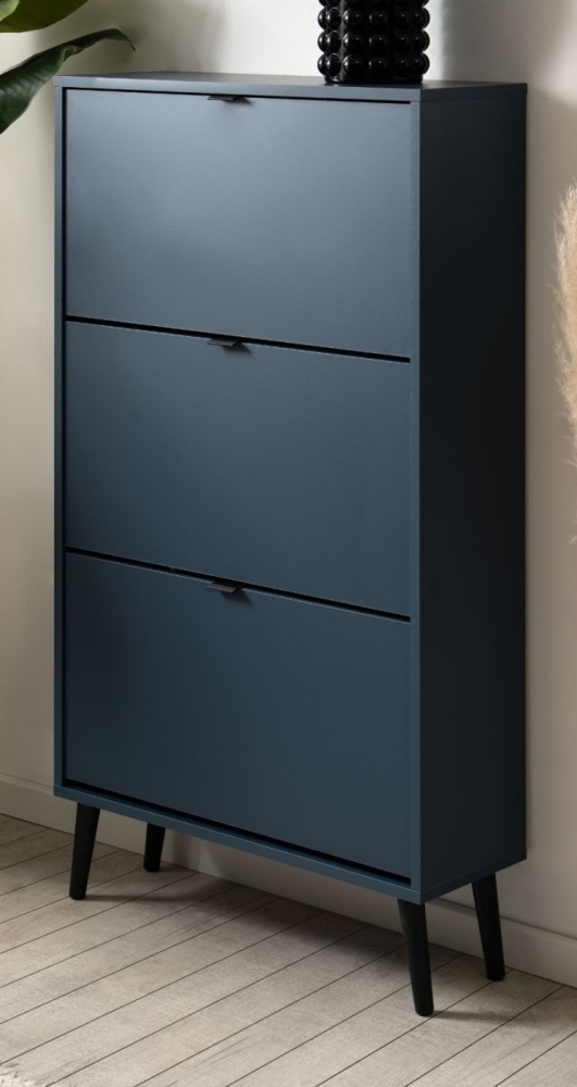 Schuhschrank Aldan in blau 70 x 125 cm Bild 1