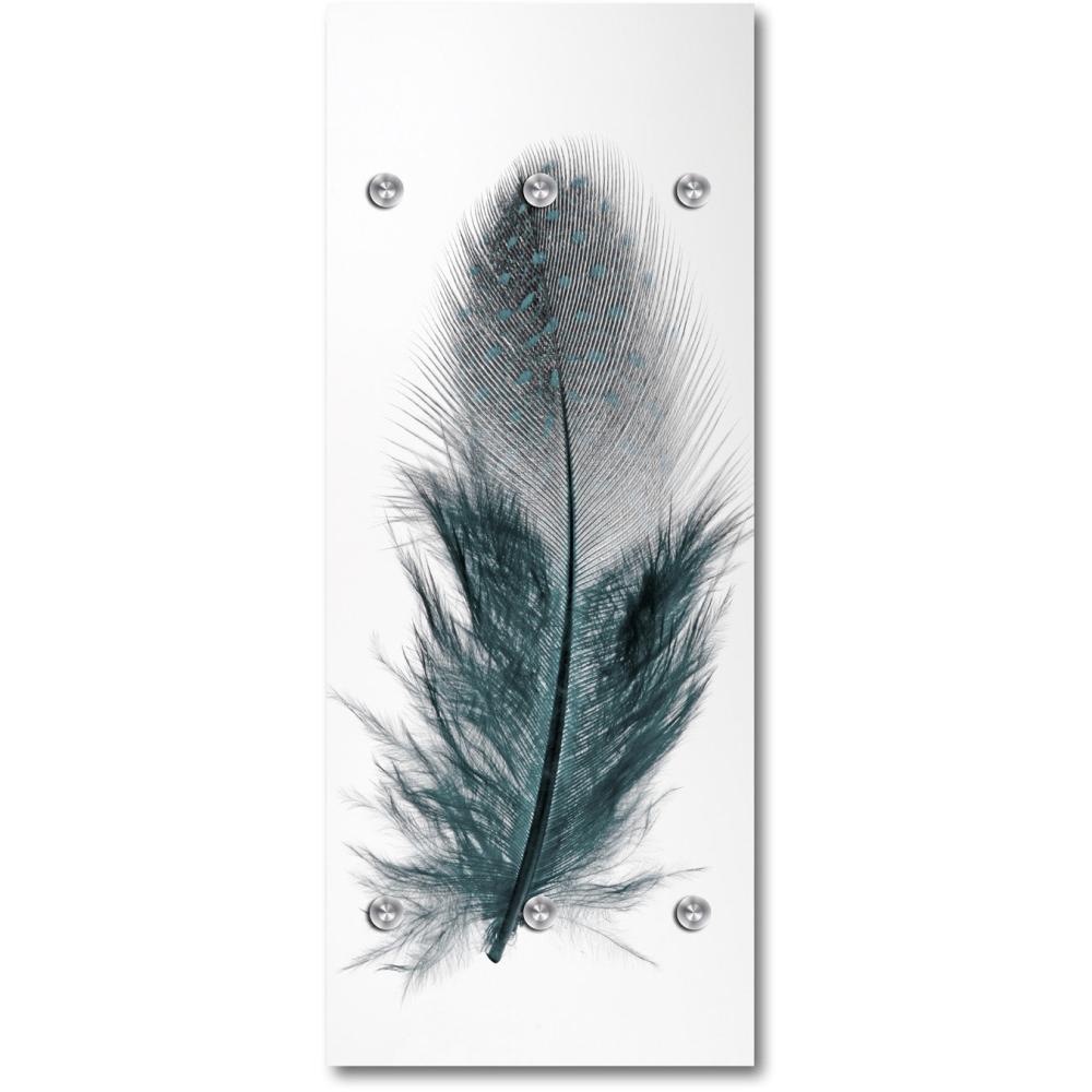 Queence Garderobe - "Black Feather" Druck auf hochwertigem Arcylglas inkl. Edelstahlhaken und Aufhängung, Format: 50x120cm Bild 1