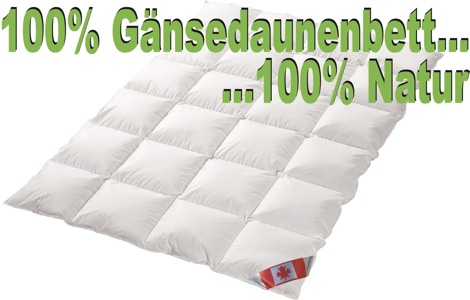 Polaris Premium Übergangsdecke 100% Natur Gänsedaune Canada 155x220 cm Pol 2 Bild 1