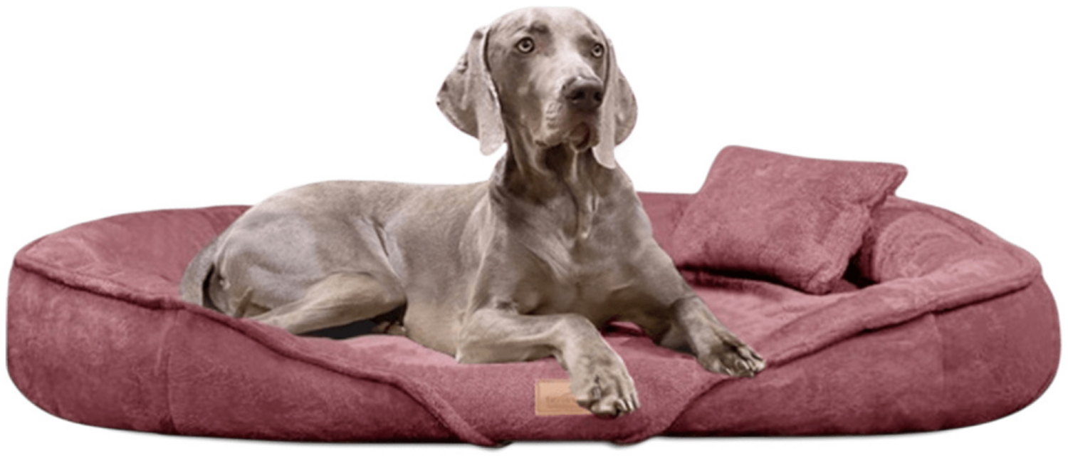 XENIA TEDDY | Kuscheliges Orthopädisch Hundebett - 59 Nude Rose, 145x105cm Bild 1