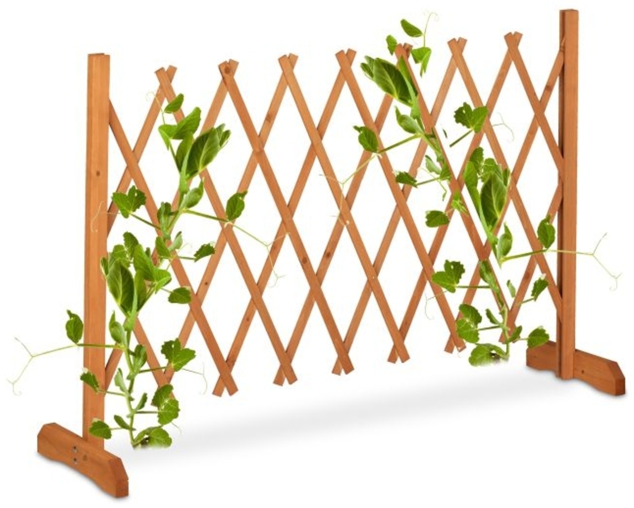 Ausziehbares Rankgitter aus Holz 10045946 Bild 1