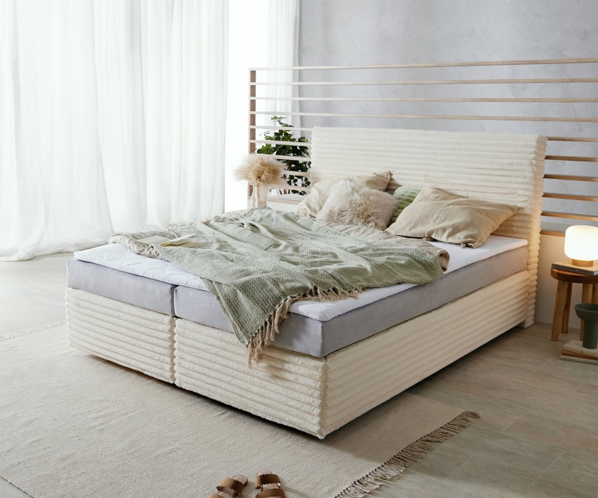 DELIFE Boxspringbett Dream-Well, Plüsch-Cord Beige 160x200 cm Bonell-Matratze PU-Topper Bild 1