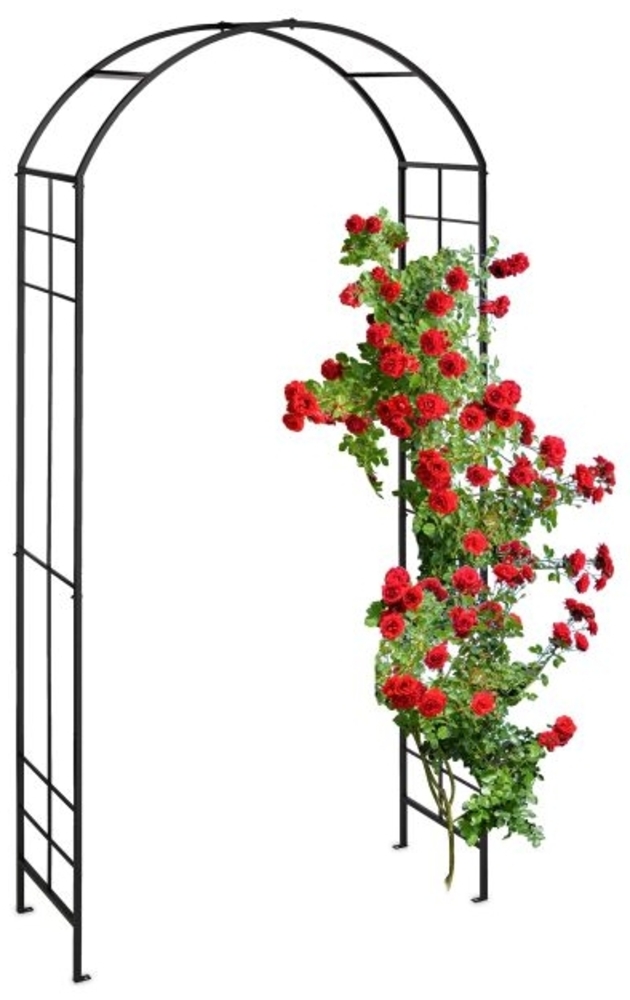 Schwarzer Rosenbogen aus Metall Bild 1