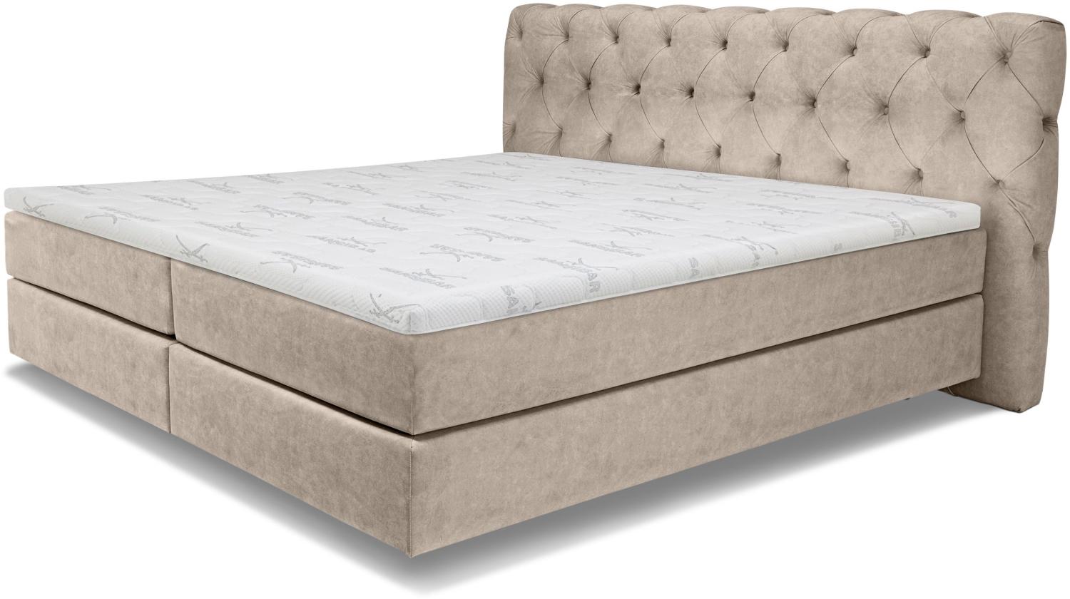 Boxspringbett SANSIBAR Langeoog Box-Spring-Bett Doppelbett Bild 1