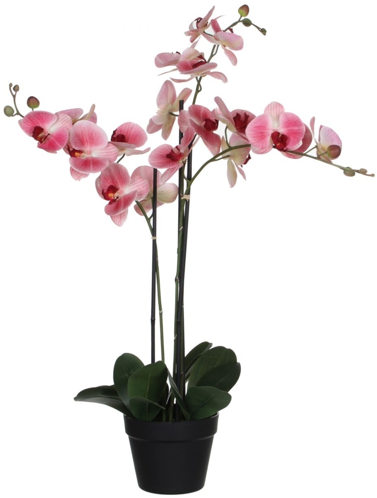 Mica Kunstpflanze Phalaenopsis im Topf rosa, 75 x 51 x 79 cm Bild 1