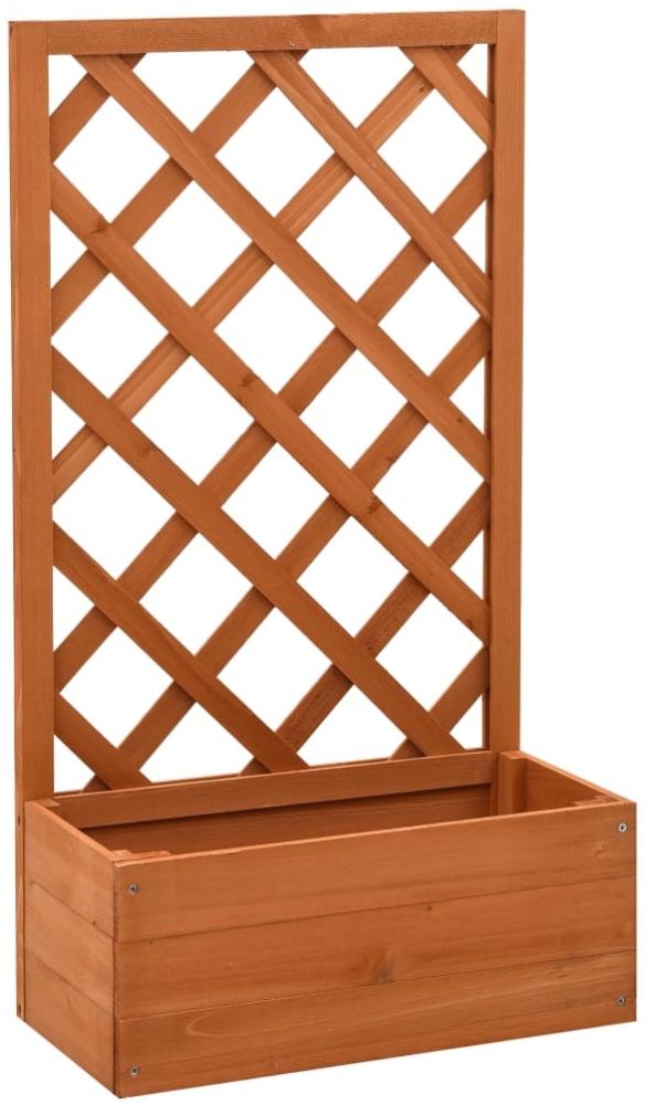 vidaXL Garten-Spalier mit Blumenkasten Orange 50x25x90 cm Tannenholz 314830 Bild 1