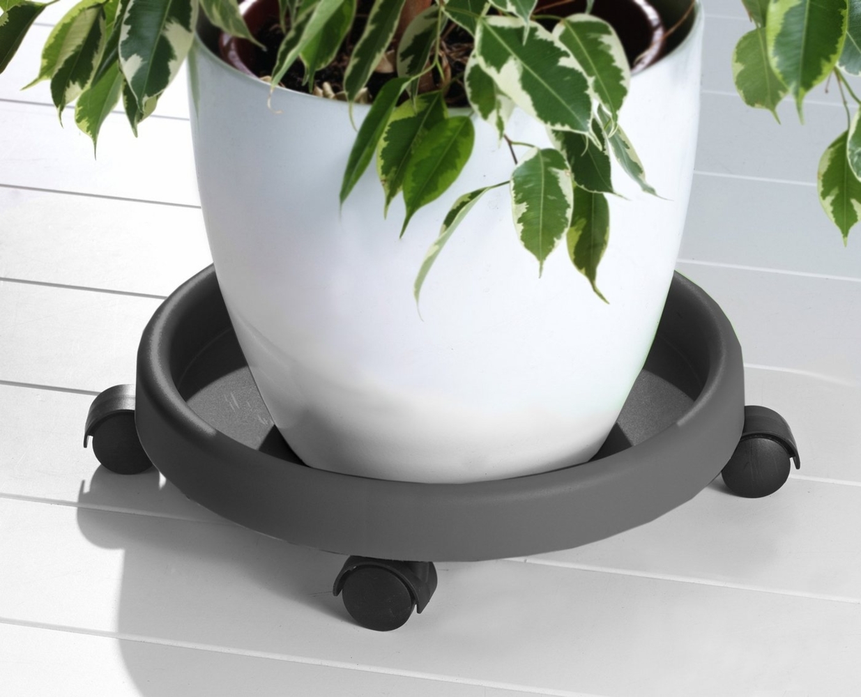 Ruco Blumentopfuntersetzer, Set, 2-tlg, Kunststoff, Ø 34 cm Bild 1