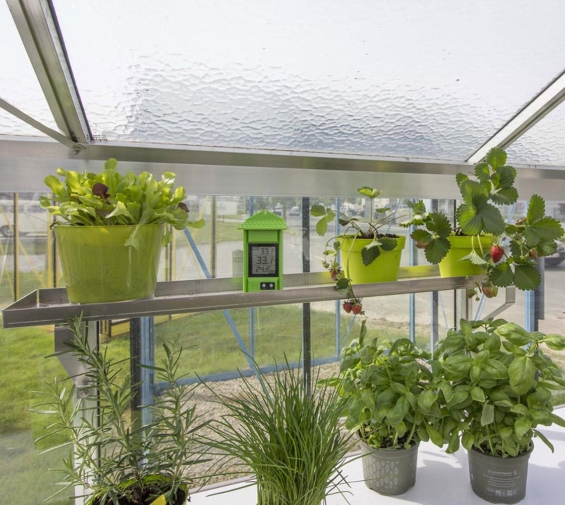 ACD Glas Gewächshaus Orangerie Helene | Schwarz | Bild 1