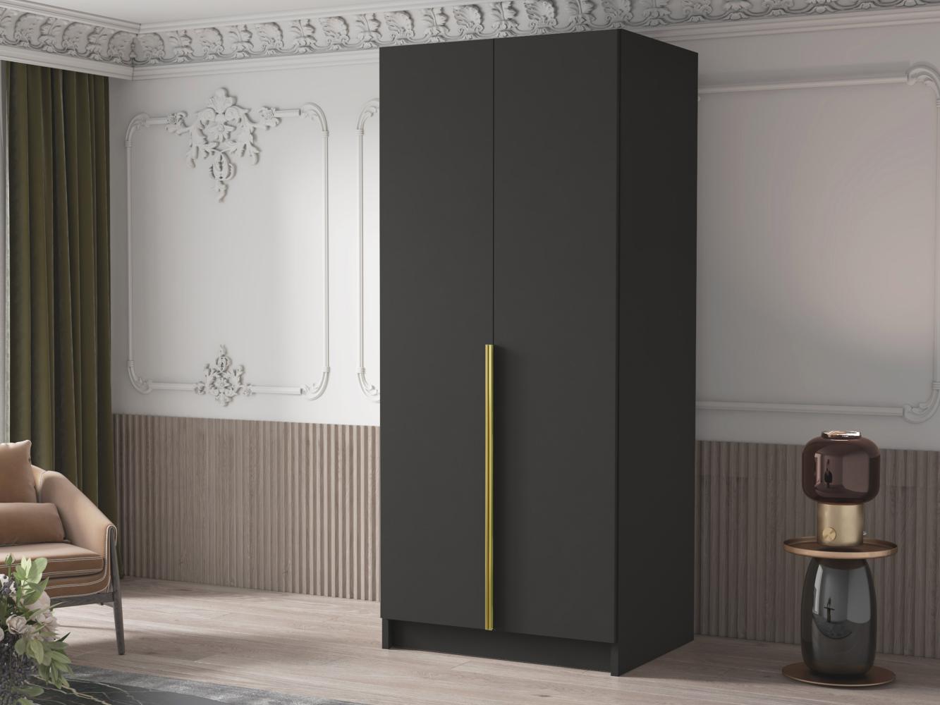 Drehtürenschrank Borton I, Kleiderschrank mit 2 Türen (Farbe: Schwarz / Schwarz + Gold) Bild 1