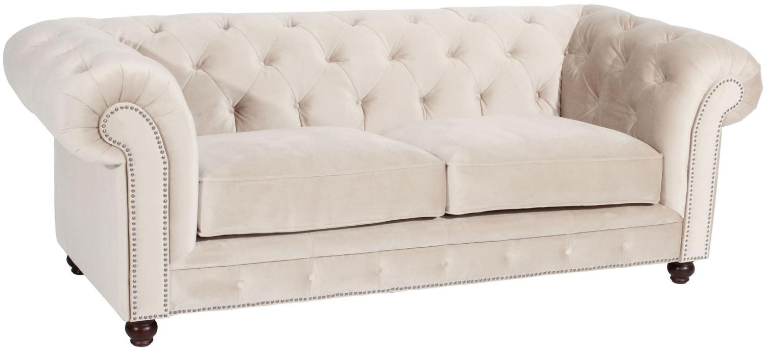 Sofa 2,5-Sitzer Kathe Bezug Samtvelours Buche nussbaum dunkel / creme 22484 Bild 1