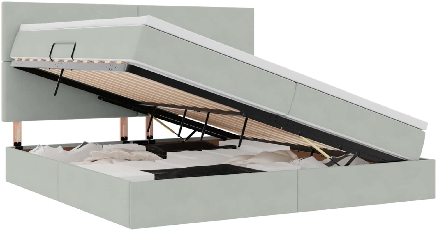 vidaXL Bett mit Stauraum und LED Hellgrau 200x200 cm Samt 3371991 Bild 1