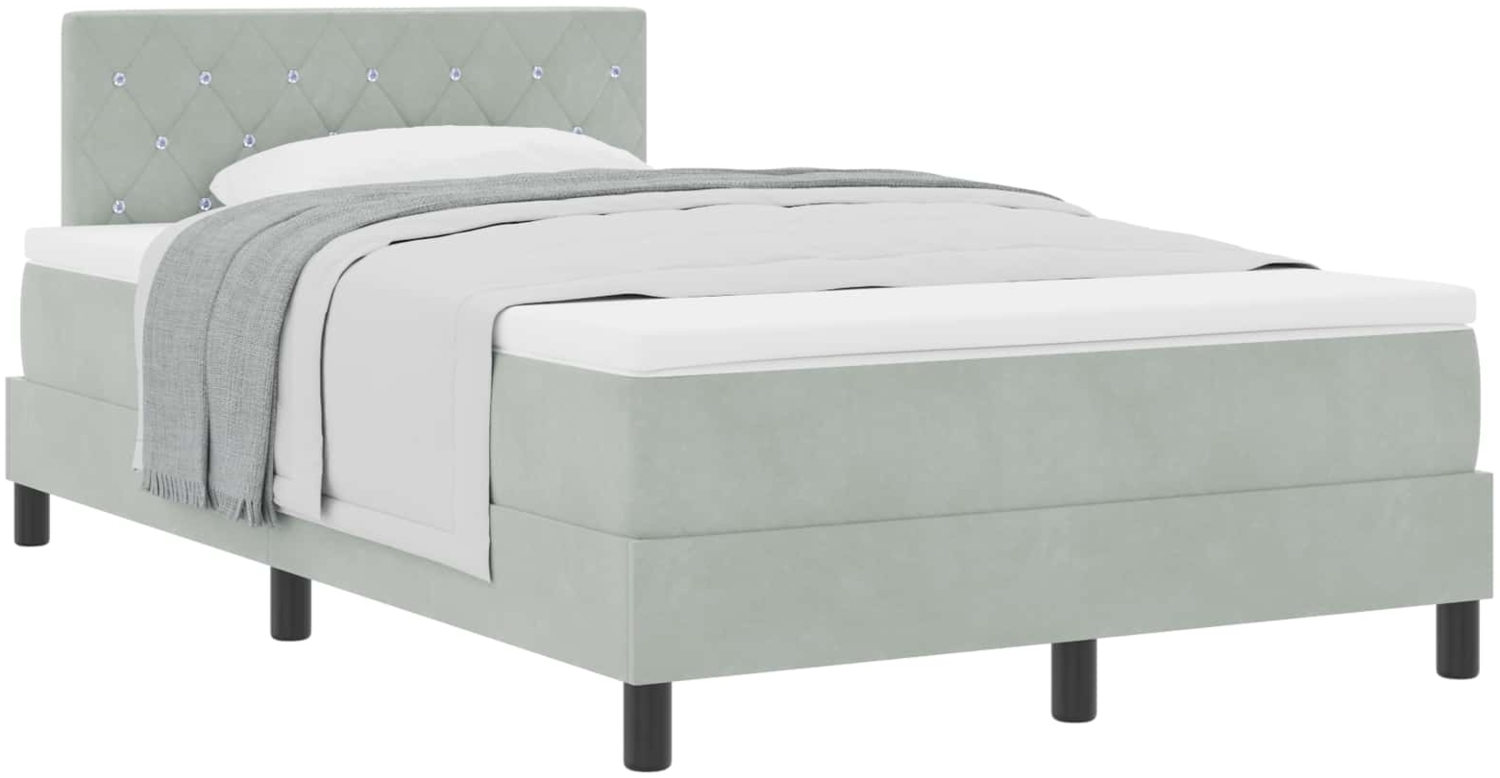 vidaXL Boxspringbett mit Matratze Hellgrau 120 x 200 cm Samt 3339098 Bild 1