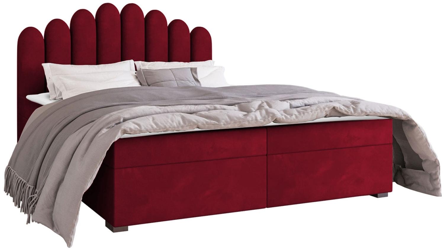 Mirjan24 	Boxspringbett Tosian, Rot, 180 x 200 cm Bild 1