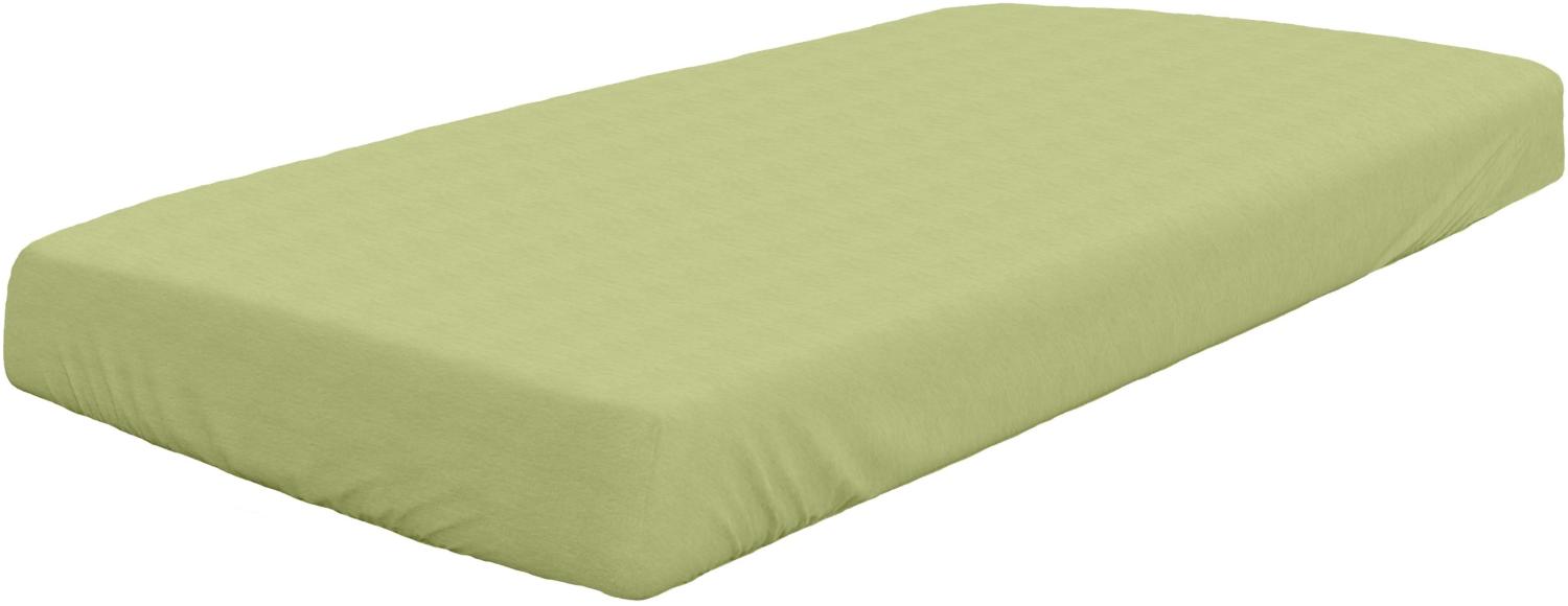 DORMISETTE Spannbettlaken Jersey (BL 200x200 cm) BL 200x200 cm grün Spannbettlaken Spannbetttuch Bettlaken Spannlaken Bild 1