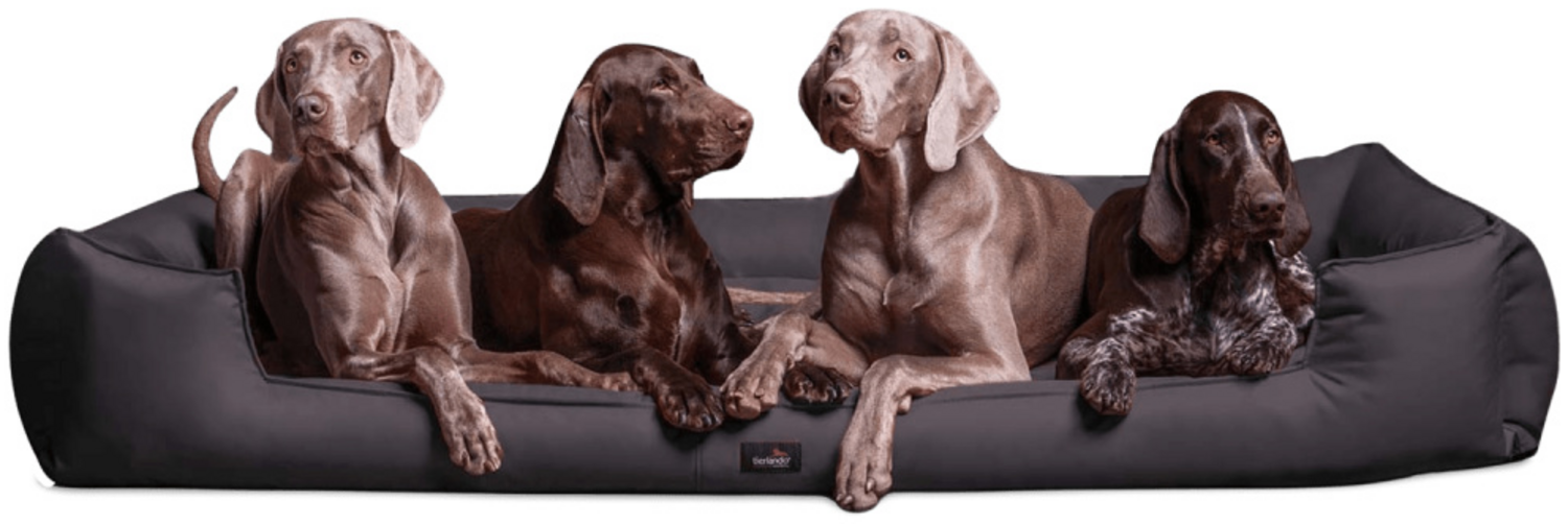 GOOFY Orthopädisches Hundebett - 02 Graphit, 160x110cm Bild 1