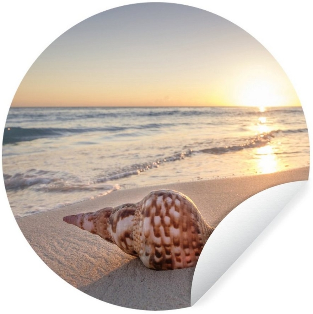 MuchoWow Wandsticker Muschel - Strand - Himmel (1 St), Wandtattoo Selbstklebend, Wohnzimmer Deko Aufkleber, 30x30 cm Bild 1