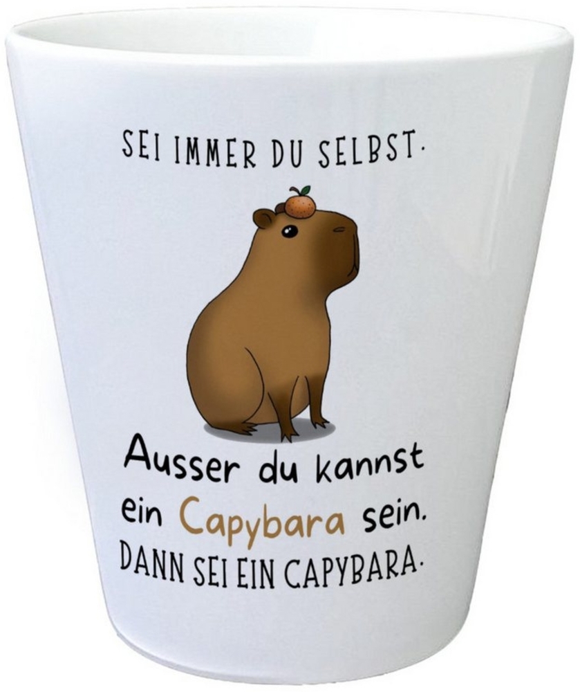 speecheese Blumentopf Sei immer du selbst - ausser du kannst ein Capybara sein Blumentopf Bild 1