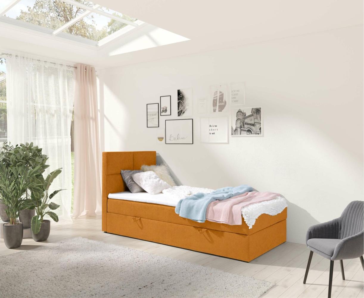 Stylefy Larni Boxspringbett Velours SORO Orange 70x200 cm Bild 1