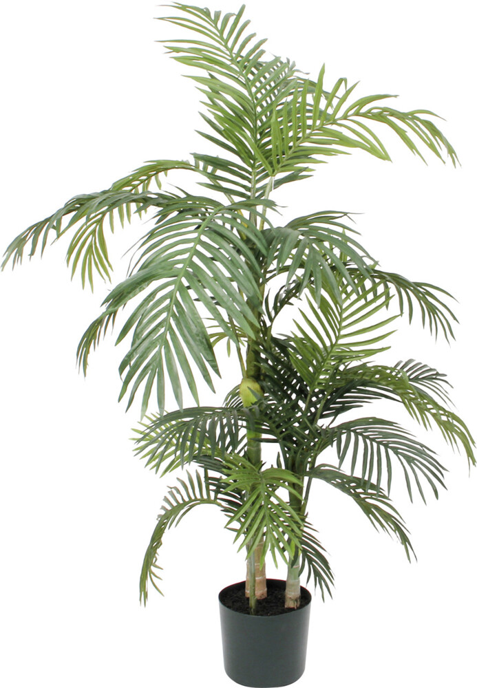 Mica Areca Palme im Plastik Topf grün, 150x100 cm Bild 1