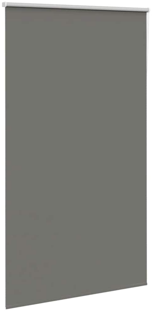 vidaXL Verdunkelungsrollo Grau 140x210cm Stoffbreite 136,6cm Polyester 4011188 Bild 1