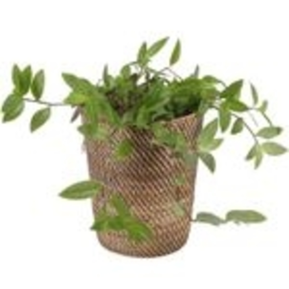 Rattan Wäschekorb Cleo Natur M Bild 1