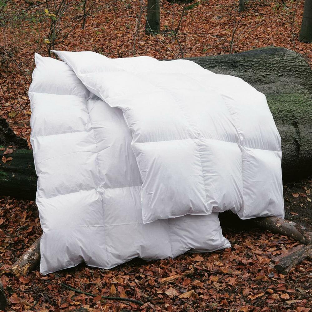 BettwarenShop Daunendecke Polar extra warm, Füllung: 70% Federn, 30% Daunen|135x200 cmBettwarenShop Daunendecke Polar extra warm, Füllung: 70% Federn, 30% Daunen Bild 1