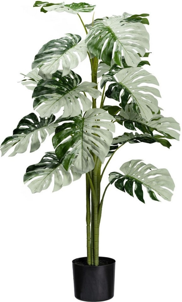 Künstliche Zimmerpflanze Monstera Variegata Halfmoon Grünpflanze, Creativ green, Höhe 115 cm, mit außergewöhnlichem Blattwerk Bild 1