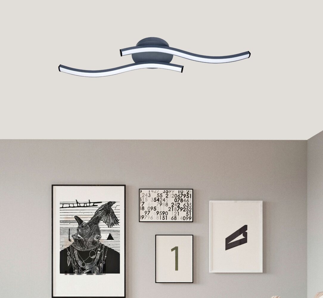 TRANGO LED Deckenleuchte, 3159B Design LED Deckenleuchte Serie *WAVE* 2 Flammen Leuchtenarm in Wellenform - Deckenlampe - Wandlampe 2x5 Watt LED Modul - 2x500 Lumen, 3000K warmweiß in modern & chic Anthrazit Schwarz Bild 1